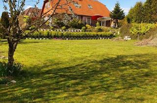 Haus kaufen in 25767 Albersdorf, Albersdorfer Wohntraum: Unverbaubarer Naturblick, 7 Zimmer & Platz für Zukunftspläne!
