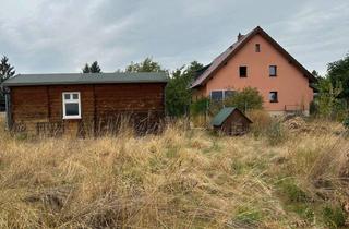 Haus mieten in Thomas-Müntzer- Siedlung 12, 99638 Riethgen, Einfamilienhaus mit 5 Zimmern in Kindelbrück OT Riethgen