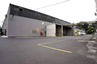 Gewerbeimmobilie mieten in 56112 Lahnstein, Produktions-/Lagerhalle, ca. 7.505 m², mit ca. 441 m² Freifläche in 56112 Lahnstein PROVISIONSFREI