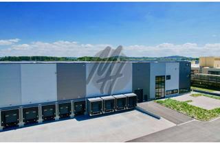 Gewerbeimmobilie mieten in 56072 Metternich, PROVISIONSFREI ✓ SCHNELL VERFÜGBAR ✓ Lagerflächen (5.700 m²) zu vermieten