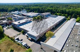 Gewerbeimmobilie mieten in 63165 Mühlheim, KEINE PROVISION ✓ RAMPE + EBEN ✓ Gewerbeobjekt mit Lagerflächen (16.000 m²) zu vermieten