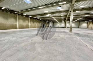 Büro zu mieten in 56235 Ransbach-Baumbach, PROVISIONSFREI ✓ AB SOFORT ✓ Lagerflächen (16.000 m²) & Büro-/Sozialflächen zu vermieten