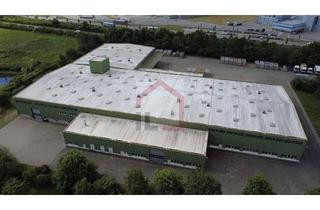 Büro zu mieten in 24539 Wittorf, Große, teils beheizbare Lager-/Produktionshallen (Nr. 4+5+6+8) in NMS-Süd mit Büro und Freiflächen