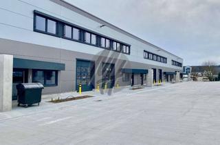 Büro zu mieten in 61169 Friedberg, PROVISIONSFREI ✓ NEUBAU / ERSTBEZUG ✓ Lagerflächen (6.000 m²) & Büroflächen (500 m²)