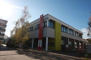 Büro zu mieten in Saulgauer Straße, 89079 Wiblingen, Büro im Bürogebäude frei
