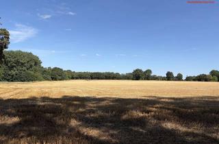 Gewerbeimmobilie kaufen in 49429 Visbek, Beste Ackerland in Visbek-Rechterfeld