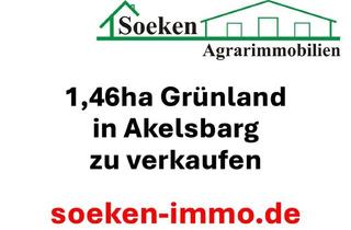 Gewerbeimmobilie kaufen in 26629 Großefehn, 1,46ha Grünland in Großefehn - Akelsbarg *HF2601*