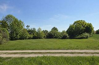 Grundstück zu kaufen in 91183 Abenberg, Seltene Grundstücksgelegenheit in naturnaher Lage – ca. 985 m² mit Entwicklungspotenzial