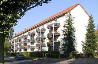Wohnung kaufen in Am Kurpark 26-29, 15537 Erkner, 4-Zimmer-Wohnung - Investition in einen wirtschaftlich dynamischen Standort!