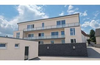 Wohnung kaufen in 75031 Eppingen, Neubau - Erdgeschosswohnung mit Terrasse!