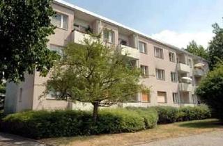 Wohnung mieten in Tessenowstraße, 13437 Wittenau, Gut geschnitte 2 Zimmer mit Balkon