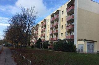 Wohnung mieten in Julius-Leber-Ring 62, 99087 Roter Berg, Familienfreundliches Wohnen nähe Zoopark!