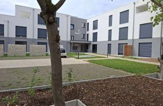 Wohnung mieten in Bexbacher Str. 13, 67063 Friesenheim/Nord, Neubau A+: Barrierefreie 2-Zi.-Wohnung mit Klimaanlage in LU-Friesenheim