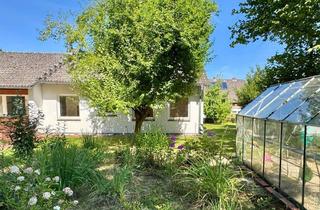 Einfamilienhaus kaufen in 21385 Amelinghausen, Ruhe, Natur - ganz viel Ausbaupotential: Einfamilienhaus mit Gartentraum