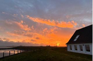 Haus kaufen in Neuwarf, 25863 Langeneß, TAO BEACH HOUSE - mit vier Seiten Meerblick