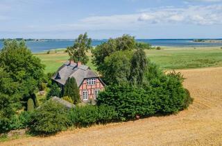 Haus kaufen in 18569 Neuenkirchen, Bodden-Panorama! Reetdach-Domizil inkl. Möblierung, Einbauküche, Kamin u.v.m. in Vieregge auf Rügen