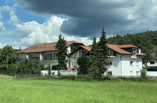 Wohnung mieten in 65719 Hofheim, Großzügige, gepflegte 2 -Zimmer Wohnung mit großer Terrasse in Hofheim OT Wildsachsen
