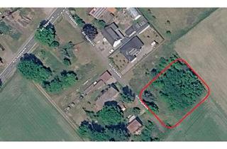 Grundstück zu kaufen in Am Sägewerk ohne Nummer, 29473 Göhrde, Baugrundstück in Metzingen (Göhrde, Lüchow-Dannenberg)