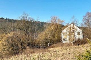 Haus kaufen in 97769 Bad Brückenau, Bad Brückenau - Historisches 3-Familienhaus (Außenbereich) für Individualisten