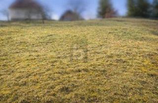Grundstück zu kaufen in 72270 Baiersbronn, Baiersbronn - NATURNAH BAUEN IN BAIERSBRONN