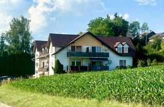 Wohnung kaufen in 78355 Hohenfels, Einstiegskapitalanlage mit 5,5 % Bruttorendite – vermietetes Apartment mit zwei Terrassen