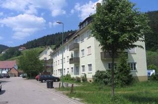Wohnung mieten in Am Rechen 29, 72270 Baiersbronn, Neu renovierte 2-Zimmer-Wohnung