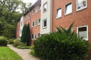 Wohnung mieten in Robert-Schuman-Weg 8 A, 21509 Glinde, Frisch sanierte 2-Zimmer-Wohnung in Glinde