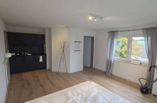 Wohnung mieten in 73434 Aalen, möbelierte 1-Zimmer-Wohnung mit Einbauküche in Aalen