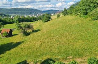 Wohnung mieten in 73337 Bad Überkingen, ++Frisch renovierte 4 Zimmer Wohnung mit Blick ins Grüne++