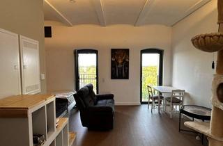Wohnung mieten in Mühlstraße 22, 06425 Alsleben, Neuwertige 1-Raum-Wohnung mit Balkon zur Saale