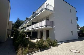 Wohnung mieten in 91207 Lauf, 2-Zimmer-Wohnungen in Lauf an der Pegnitz