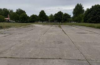 Lager mieten in Seelower Straße 7f, 15374 Müncheberg, Stellplatz/Lager / Halle / Büro / Stellfläche 15.000m2 VERMIETUNG