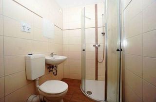 Immobilie mieten in Kastanienweg, 08529 Plauen, 1 Raum Wohnung für Senioren