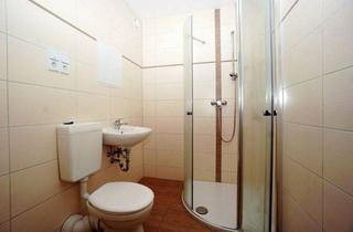 Immobilie mieten in Kastanienweg, 08529 Plauen, 1 Raum Wohnung für Senioren