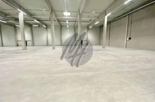 Büro zu mieten in 63457 Hanau, PROVISIONSFREI ✓ IM ALLEINAUFTRAG ✓ Neubau mit Lager (5.850 m²) mit Büro (470 m²) zu vermieten