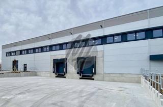Büro zu mieten in 61197 Florstadt, KEINE PROVISION ✓ NEUBAU / ERSTBEZUG ✓ Lager-/Produktion (5.900 m²) & Büro (400 m²)