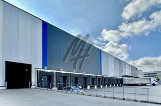 Büro zu mieten in 63755 Alzenau, KEINE PROVISION ✓ RAMPE + EBEN ✓ WGK ✓ Lager-/Logistik (25.000 m²) & Büro (1.000 m²)