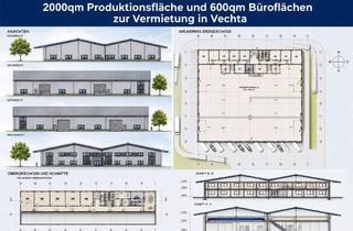 Gewerbeimmobilie mieten in 49377 Vechta, Produktionshallen zur Vermietung