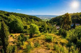 Grundstück zu kaufen in 67434 Hambach, Neustadt-Hambach: Unverbaubares Baugrundstück in exklusiver Höhenlage mit Panoramablick!