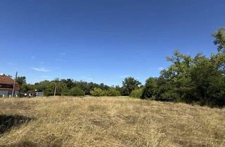 Grundstück zu kaufen in 06242 Braunsbedra, Baugebiet „Runstedter Weg“ – neue Möglichkeiten mit ScanHaus
