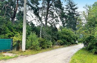Grundstück zu kaufen in Kiefernweg 11, 16356 Werneuchen, Baugrundstück mit abrissreifer Wochenendhausbebauung
