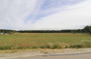 Grundstück zu kaufen in 06901 Kemberg, Verpachtete landwirtschaftliche Fläche - Acker und Wald