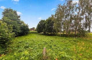 Grundstück zu kaufen in 21522 Hohnstorf, Ein besonderer Ort zum Bauen und Bleiben – direkt am Elbdeich in Hohnstorf