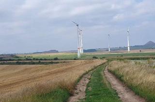 Immobilie kaufen in 06295 Lutherstadt Eisleben, Ackerland mit Windparkplanung zu verkaufen