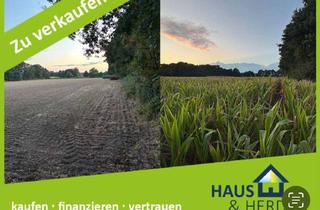 Gewerbeimmobilie kaufen in 48432 Rheine, Ackerland in Rheine Catenhorn