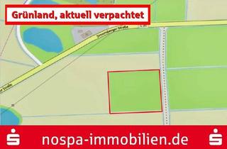 Gewerbeimmobilie kaufen in 25813 Südermarsch, Grünland, aktuell verpachtet