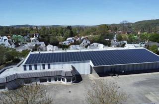 Büro zu mieten in 07586 Bad Köstritz, Gewerbeimmobilie mit Lagerhalle und Bürokomplex - Provisionsfrei!