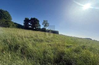 Grundstück zu kaufen in 23738 Riepsdorf, SONNIG, RUHIG & NATURNAH MIT AUSBLICK