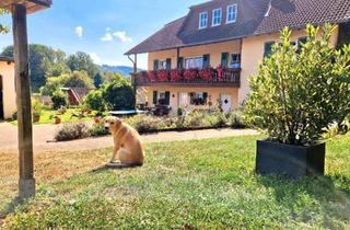 Bauernhaus kaufen in 55765 Birkenfeld, Birkenfeld - Pferdehof Bauernhof Pferdestell Reiterhof Resthof