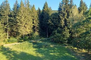 Wohnung kaufen in 72270 Baiersbronn, Baiersbronn - Ferienwohnung am Waldrand in Baiersbronn-Obertal